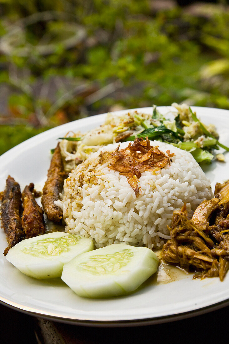 Typische Reisspeise