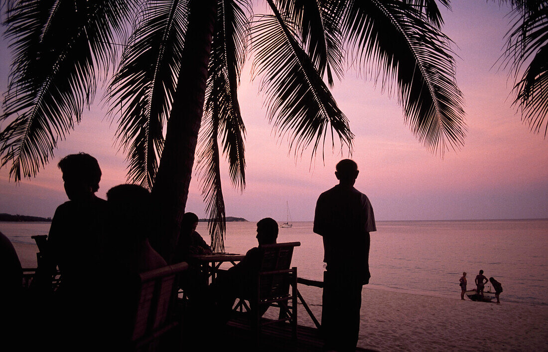 Silhouette von Menschen, die sich in der Abenddämmerung unter Palmen entspannen, Koh Samui, Thailand
