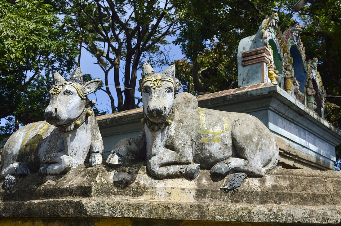 Statuen von heiligen Kühen auf Hindu-Tempel; Tenkasi, Tamil Nadu, Indien