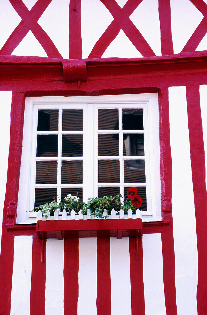 Window In Timbered Building