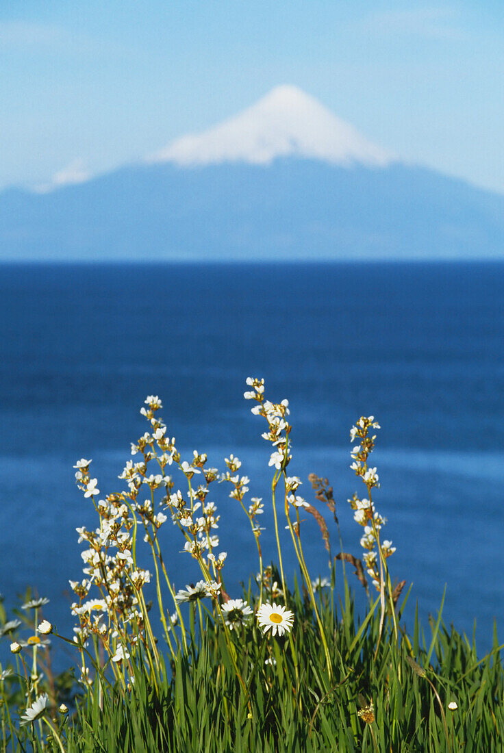 Vulkan Osorno See Llanquihue