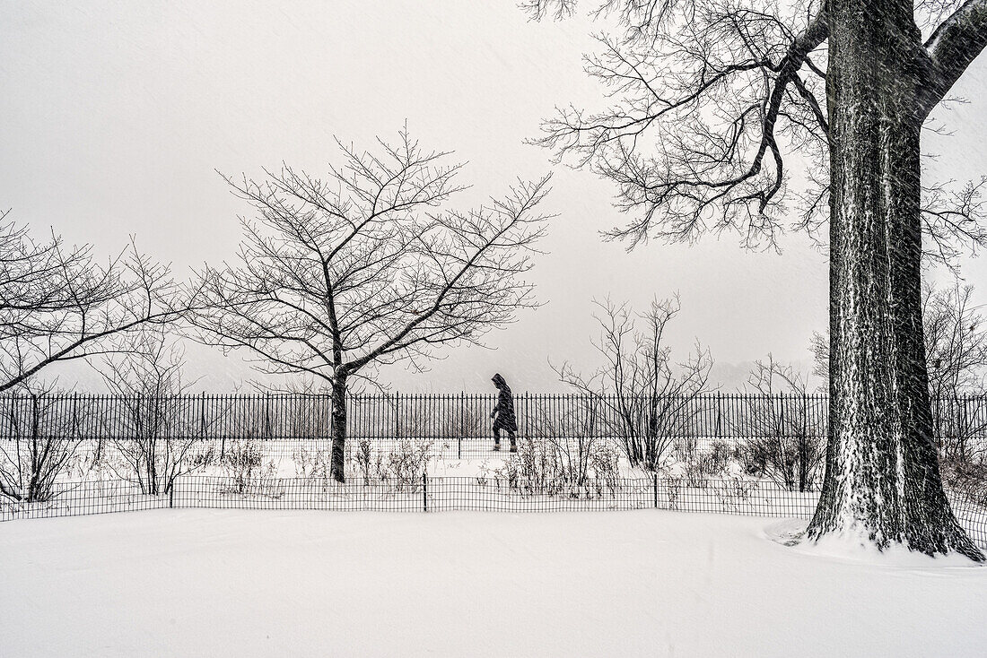 Blizzard Conditions By The Jacqueline Kennedy Onassis Reservoir, Central Park; New York City, New York, United States Of America