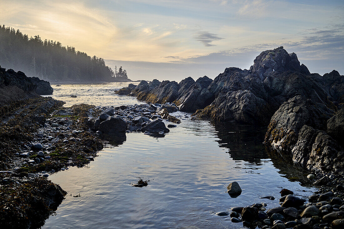 Schroffe Felsformationen entlang der Küste bei Sonnenuntergang, Cape Scott Provincial Park, Vancouver Island; British Columbia, Kanada