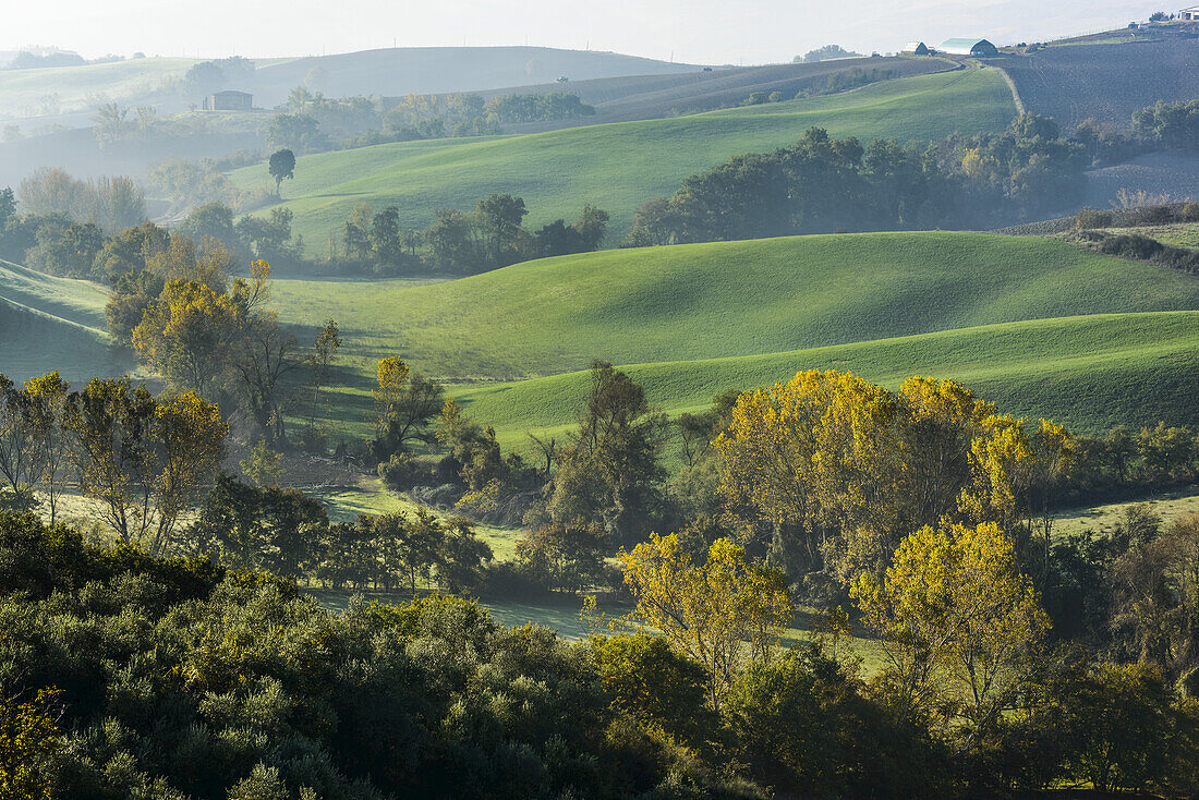 Grüne Hügel und herbstlich gefärbte Wälder der Toskana bei Castiglione D'orcia; Toskana, Italien