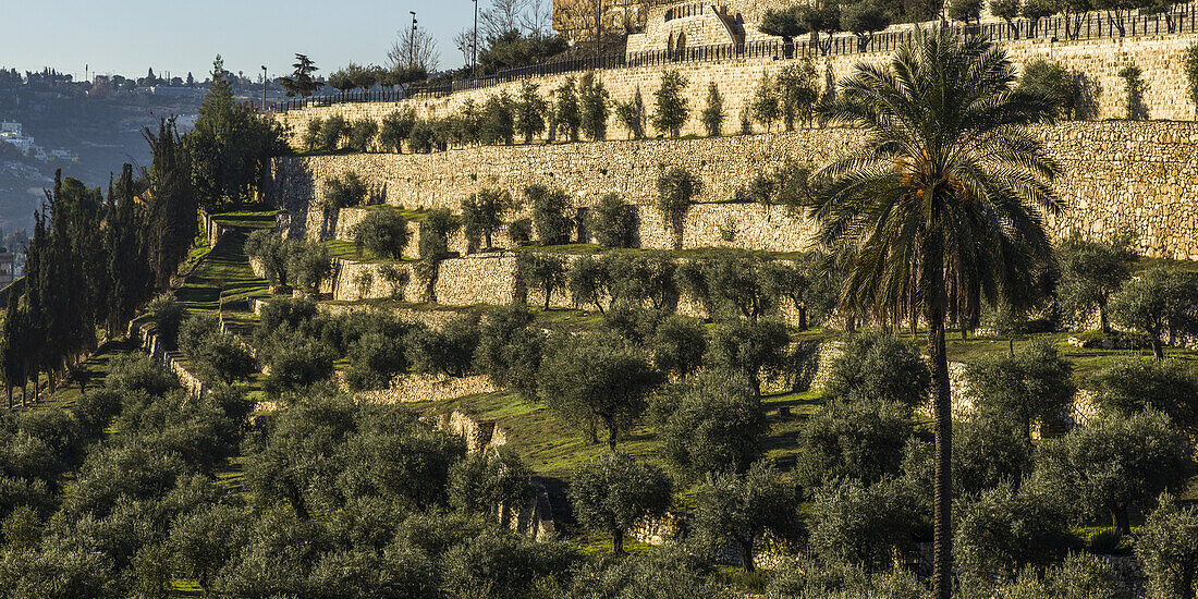 Ölberg; Jerusalem, Israel