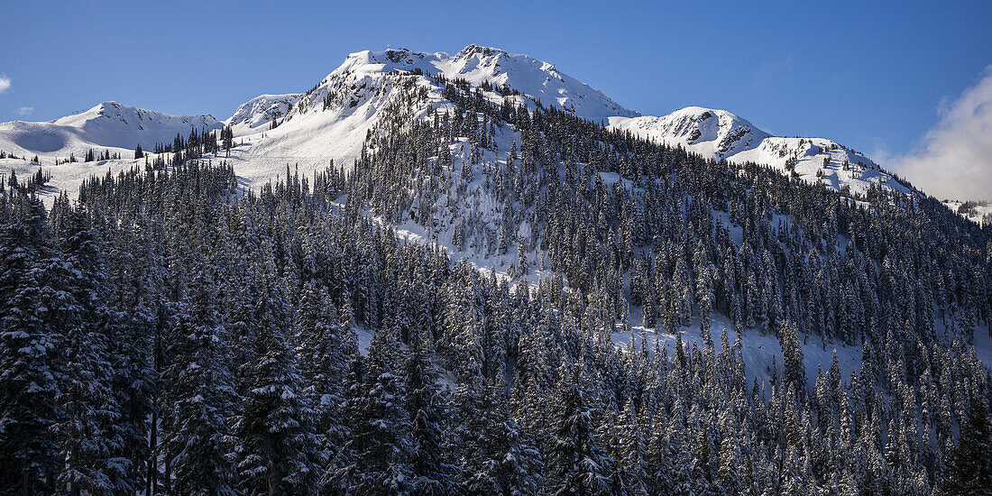 Landscape Of The Canadian Rocky Mountains Covered In A Forest And Snow; Whistler, British Columbia, Canada