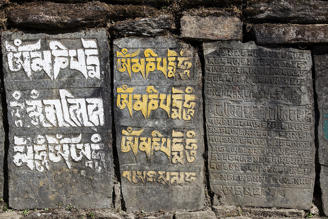 Tibetische Schrift auf Felsen im nepalesischen Himalaya; Nepal