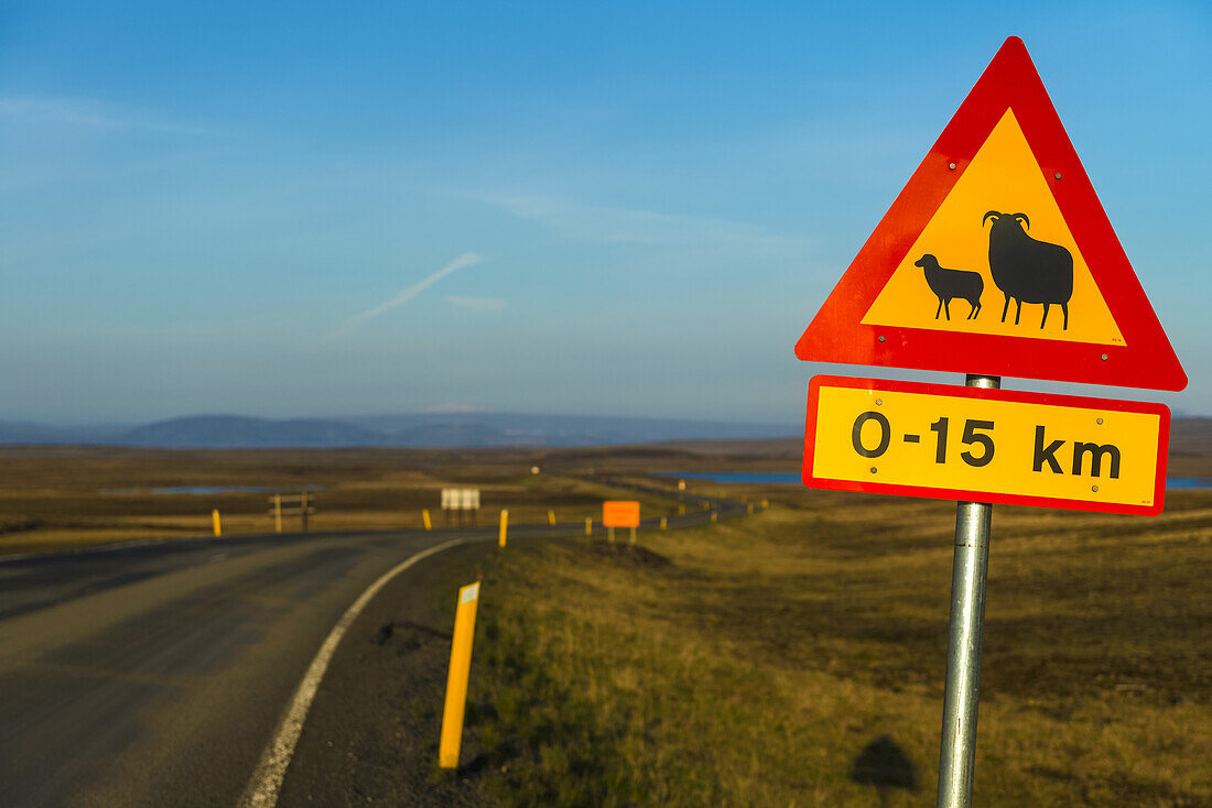 Straßenschild, das vor Schafen und einer Änderung der Geschwindigkeitsbegrenzung warnt, in der Nähe des Laugarvatn; Island