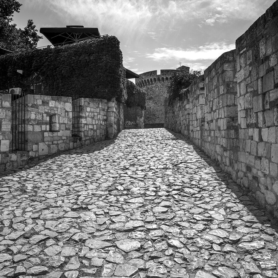 Cobblestone walkway at the Belgrade Fortress; Belgrade, Vojvodina, Serbia
