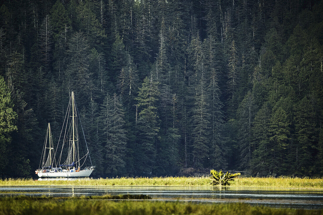 Sailboat in an estuary, Great Bear Rainforest; Hartley Bay, British Columbia, Canada