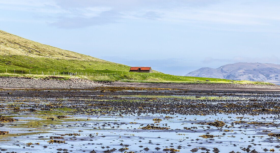 Ein einzelnes Bauernhaus am Rande des Berges Kirkjufell und des Atlantiks auf der Halbinsel Snaefellsnes, Westisland; Grundarfjorour, Island
