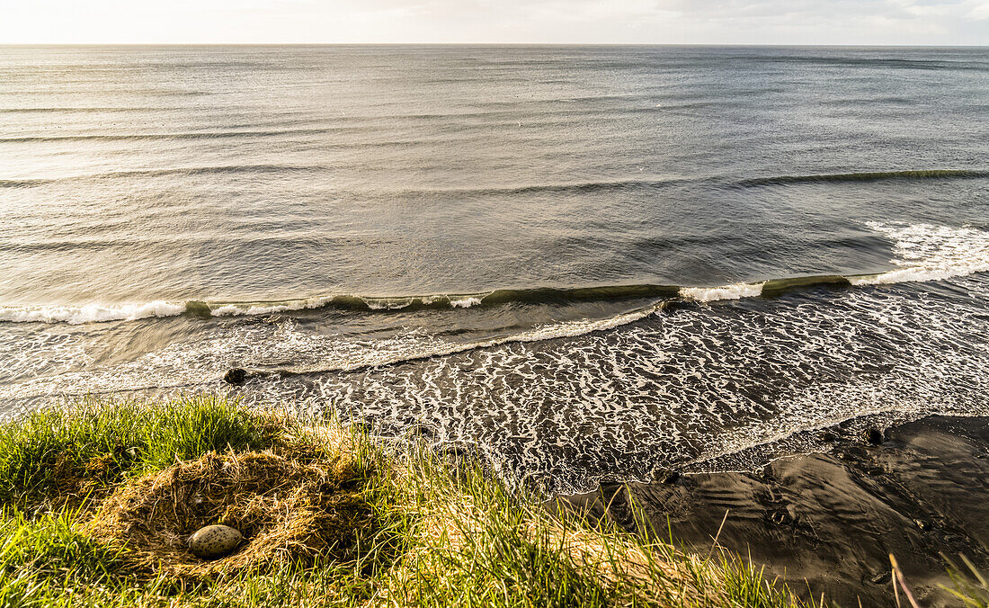 A bird's nest sits on a cliff overlooking the Icelandic coast; Grundarfjorour, Iceland