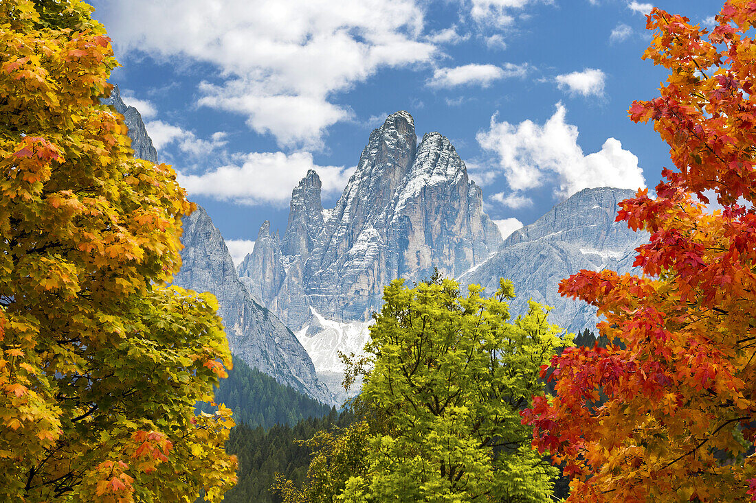 Bunte Bäume im Herbst mit einem dramatischen Berg im Hintergrund; Sexten, Bozen, Italien.