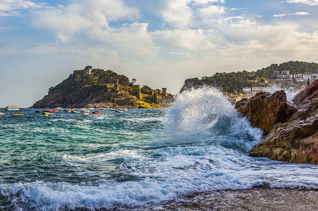 Beach view from Tossa de Mar of Castell de Tossa, which was built in 1187; Tossa de Mar, Girona, Spain