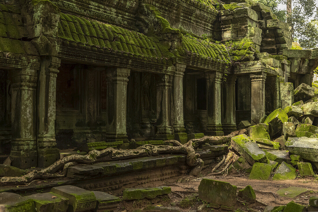 Kolonnade mit moosbewachsenem Dach an umgestürzten Felsen, Angkor Wat; Siem Reap, Provinz Siem Reap, Kambodscha