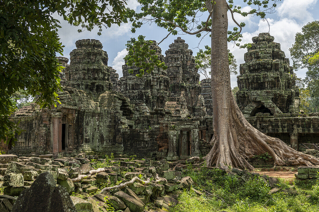 Fallen rocks and trees behind ruined temple, Banteay Kdei, Angkor Wat; Siem Reap, Siem Reap Province, Cambodia