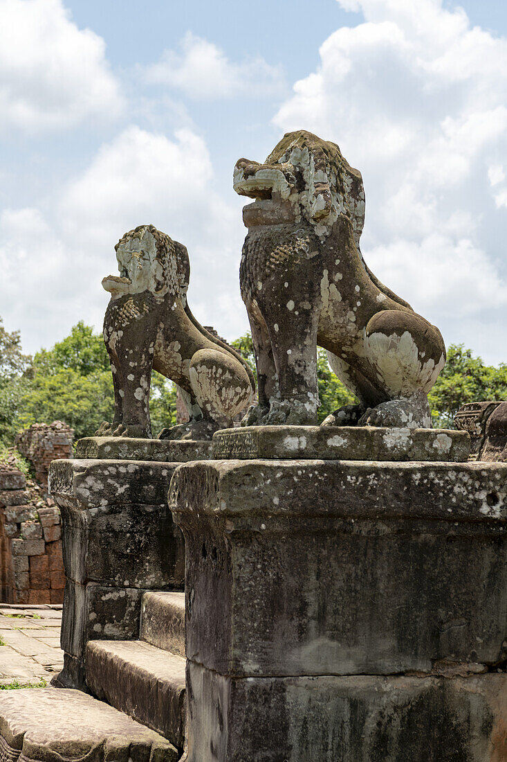 Mit Flechten bedeckte Steinlöwen bewachen den Tempel, East Mebon, Angkor Wat; Siem Reap, Provinz Siem Reap, Kambodscha.