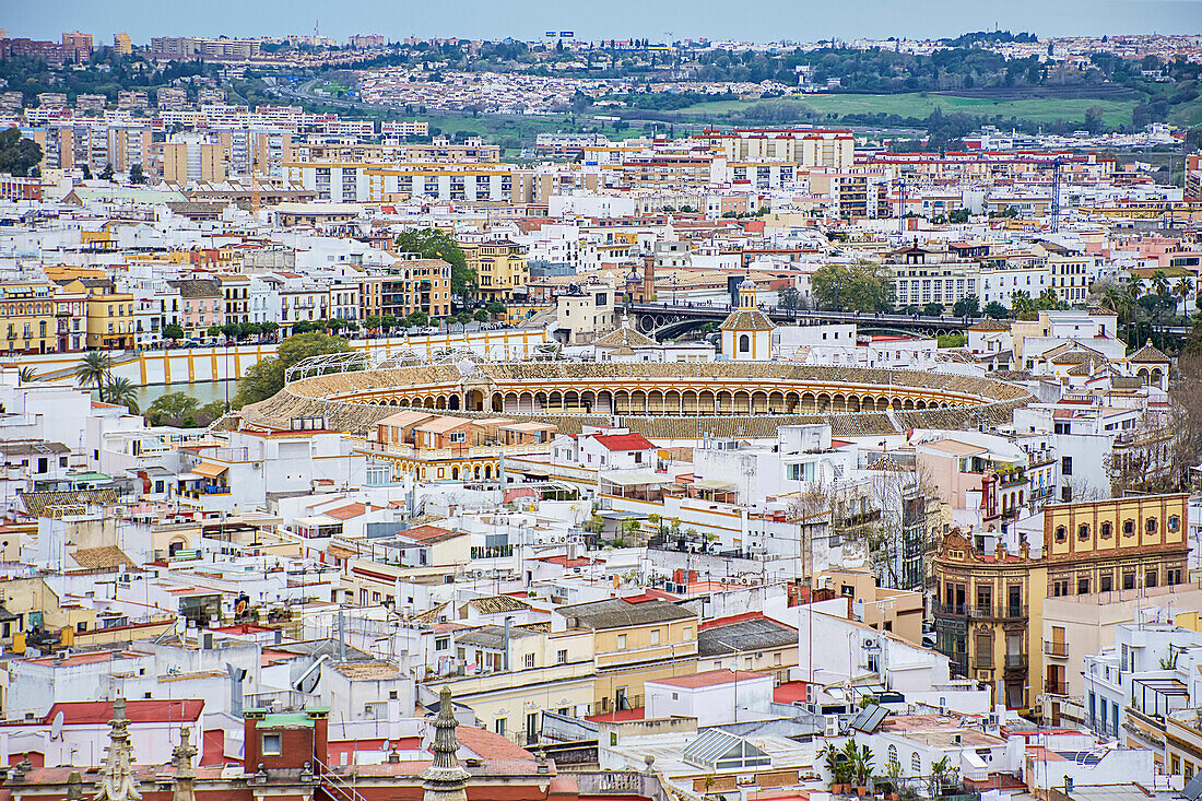 Rooftops across Seville, with Seville Bullring (Plaza de Toros) in the centre; Seville, Spain