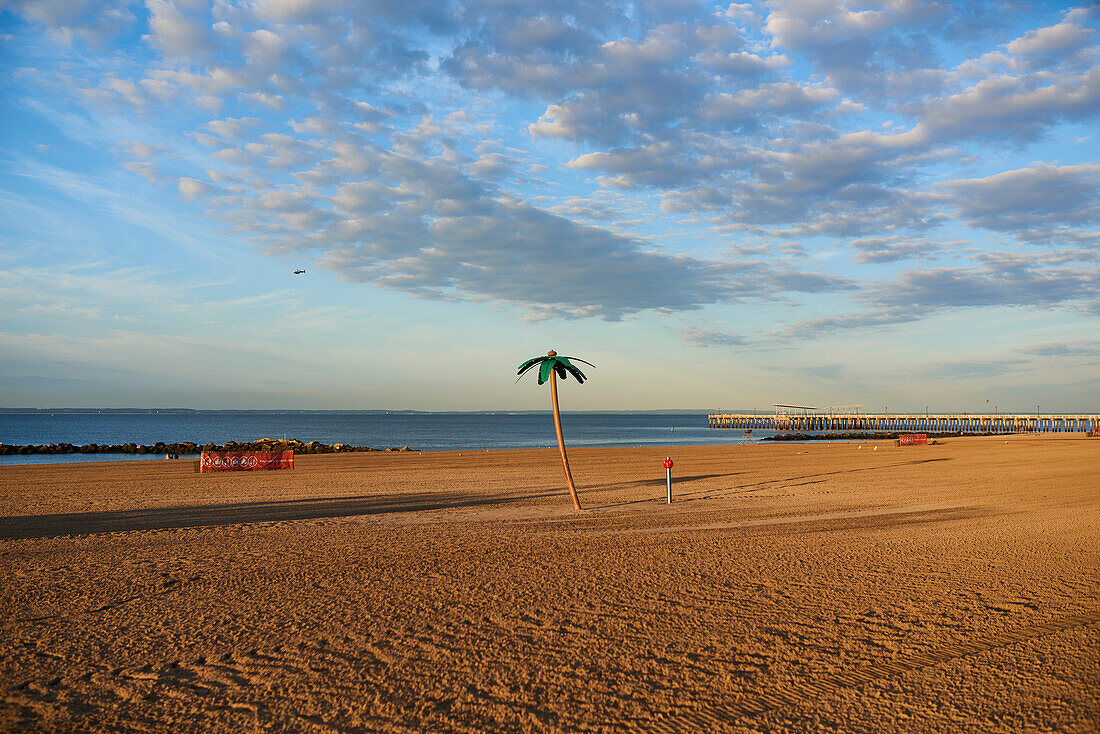 Plastic palm tree on Coney Island beach at sunrise; New York City, New York, United States of America