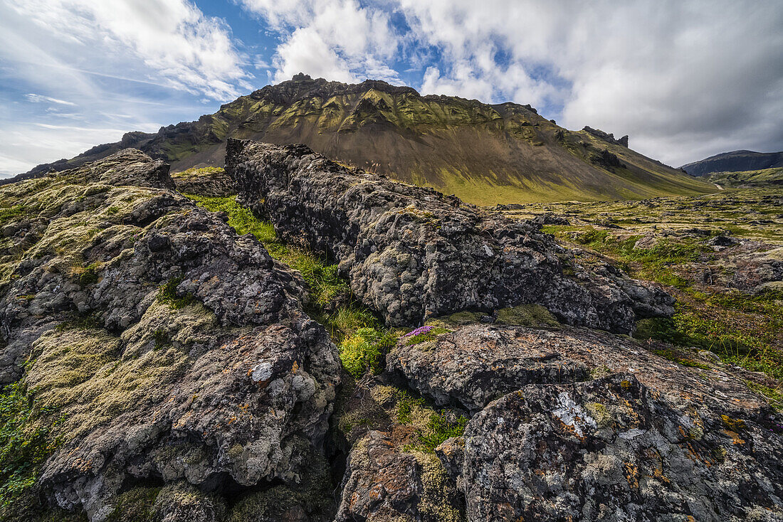Moosbewachsene Lavafelder mit Bergen in der Ferne auf der Snaefellsness-Halbinsel; Island