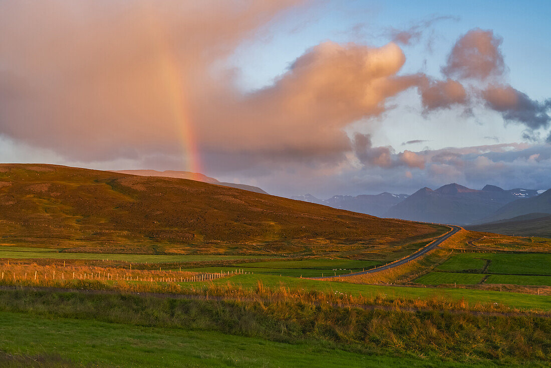 Regenbogen bei Sonnenuntergang mit einer in die Ferne führenden Straße, Nordisland; Island