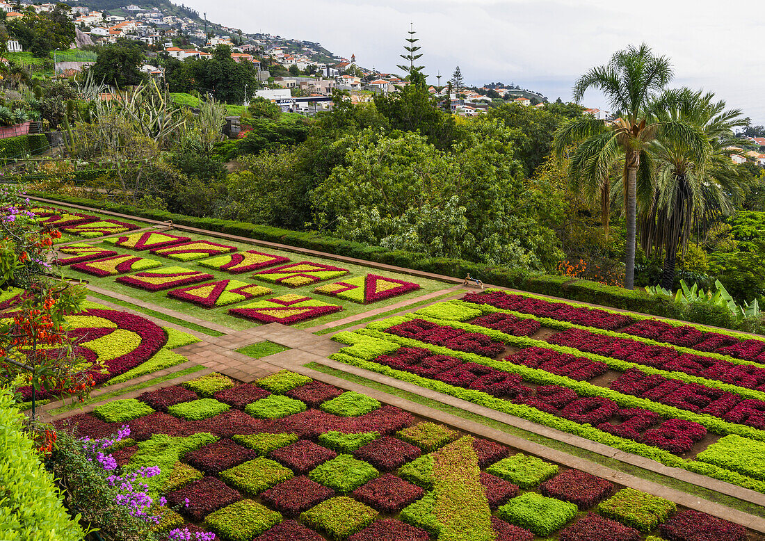 Formale Blumenbeete in den Botanischen Gärten von Madeira; Funchal, Madeira, Portugal.