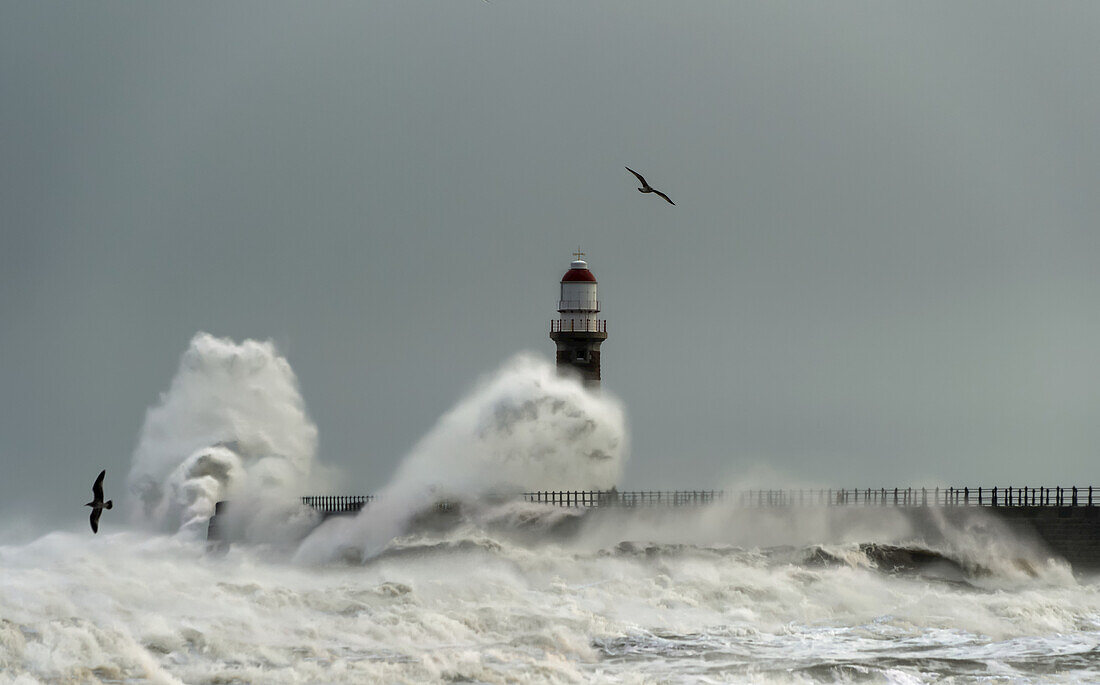 Roker-Leuchtturm und Wellen des Flusses Ware, die auf den Pier prallen; Sunderland, Tyne and Wear, England.