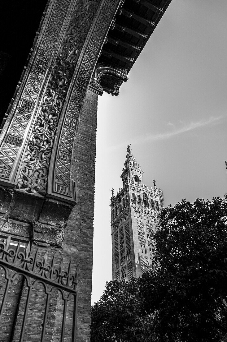 Turm der Kathedrale von Sevilla; Sevilla, Spanien