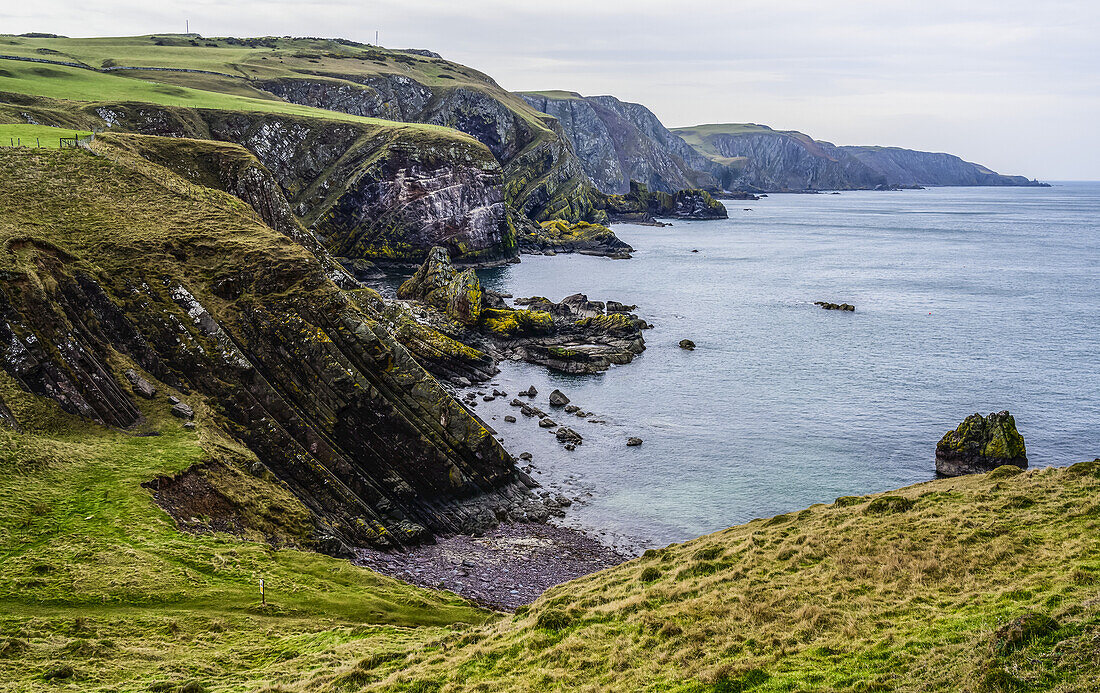 Rocky coastline at St Abbs Head; St. Abbs Head, Berwickshire, Scotland