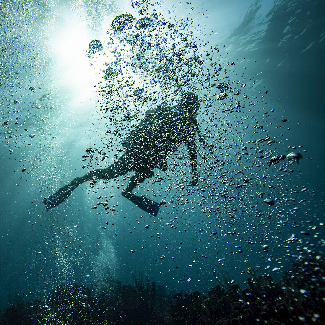 Scuba diver obscured by bubbles underwater at the dive site Blue Channel, Roatan Marine Park; Bay Islands Department, Honduras