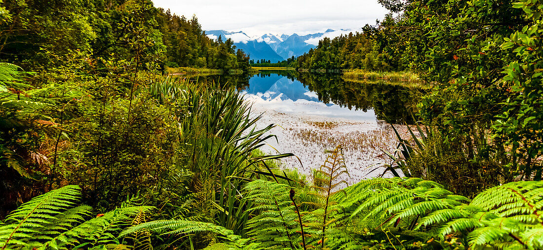 Lake Matheson mit üppigem Blattwerk entlang der Uferlinie; Südinsel, Neuseeland