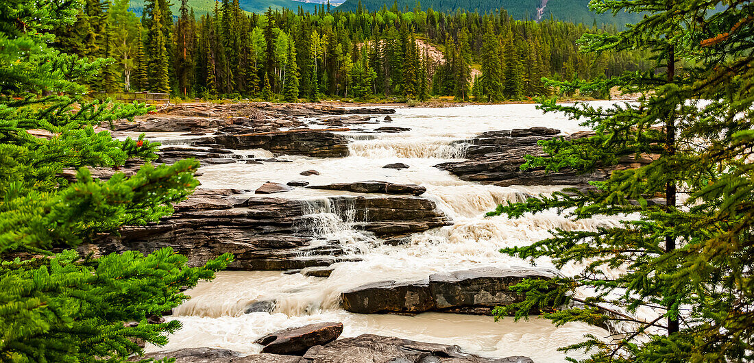 Athabasca River und Wasserfälle, Jasper National Park; Alberta, Kanada