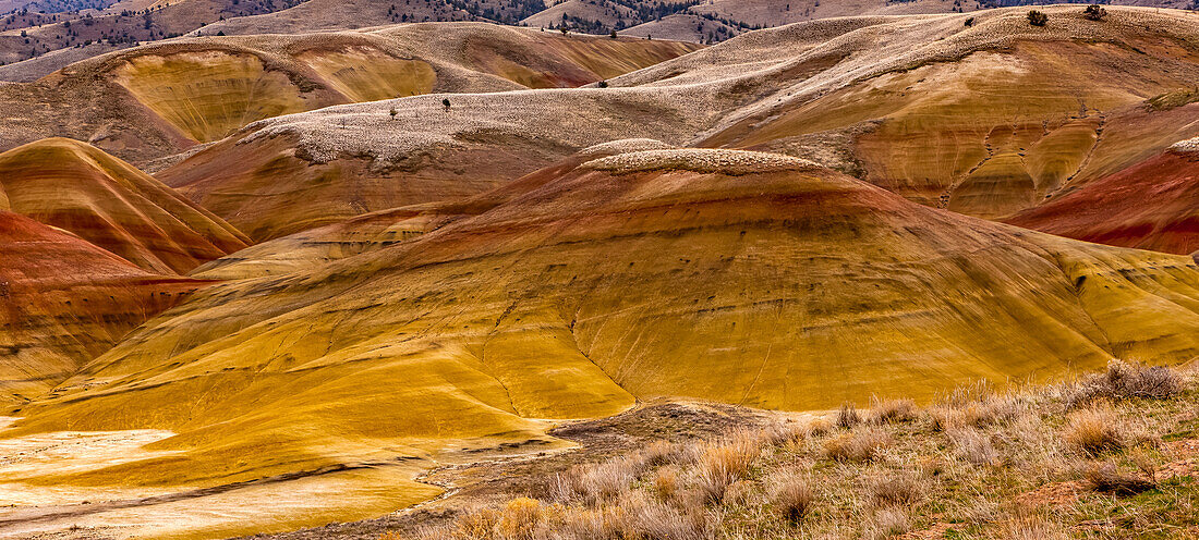 Painted Hills, John Day Fossil Beds National Monument; Oregon, Vereinigte Staaten von Amerika