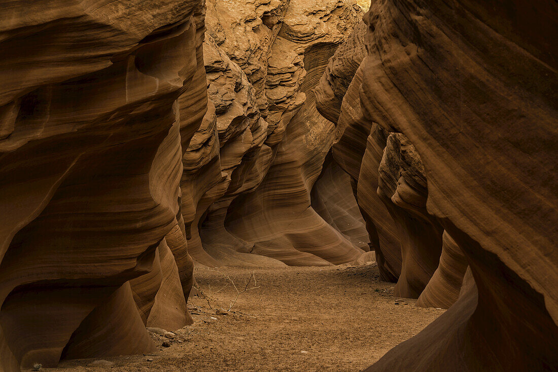 Slot Canyon bekannt als Owl Canyon, nahe Page; Arizona, Vereinigte Staaten von Amerika