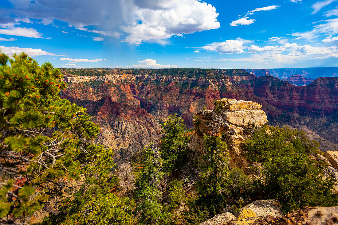 North Rim, Grand Canyon, Grand Canyon National Park; Arizona, Vereinigte Staaten von Amerika