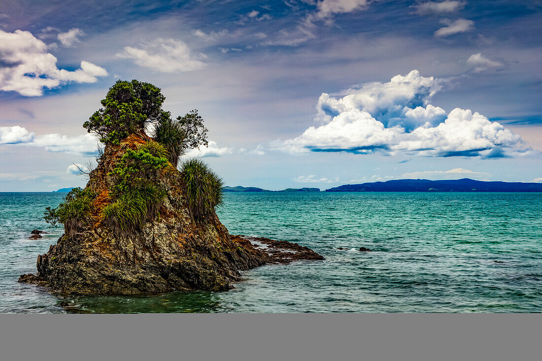 Felsformation mit Bäumen vor der Küste der Coromandel-Halbinsel; Nordinsel, Neuseeland