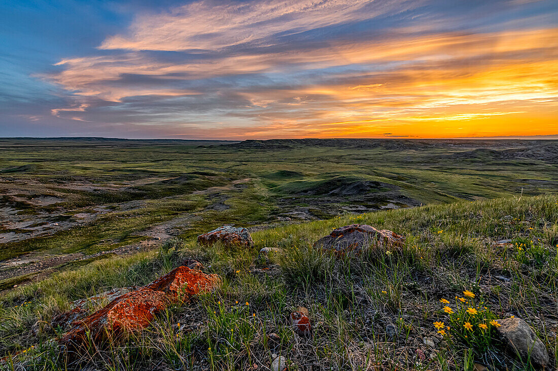 Vast landscape stretching to the horizon at sunset in Grasslands National Park; Val Marie, Saskatchewan, Canada