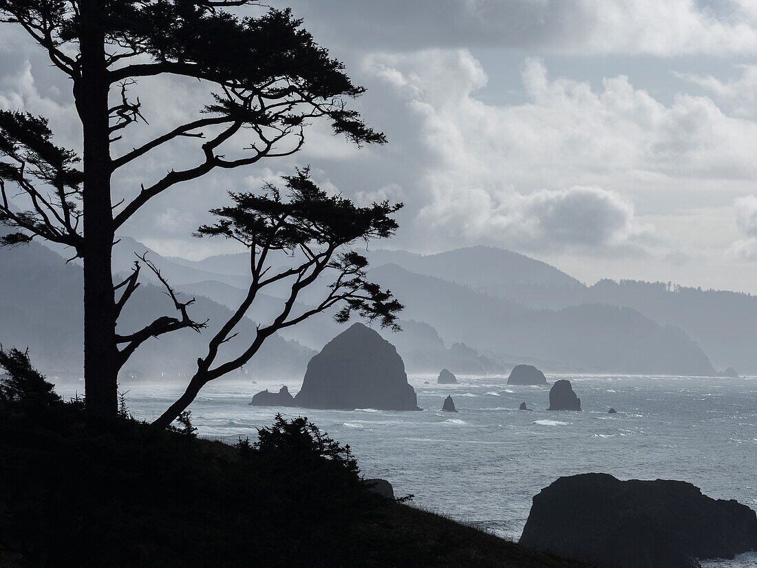 Die wilde Küstenlinie von Oregon während eines Frühlingssturms; Oregon, Vereinigte Staaten von Amerika