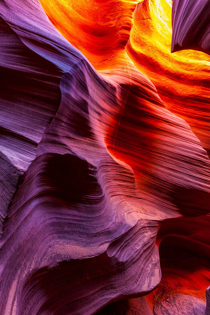 Klapperschlangenschlucht; Arizona, Vereinigte Staaten von Amerika