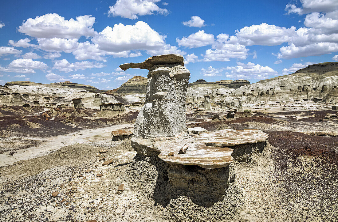 Einzigartige Felsformationen, Bisti Badlands, Bisti/De-Na-Zin Wilderness, San Juan County; New Mexico, Vereinigte Staaten von Amerika