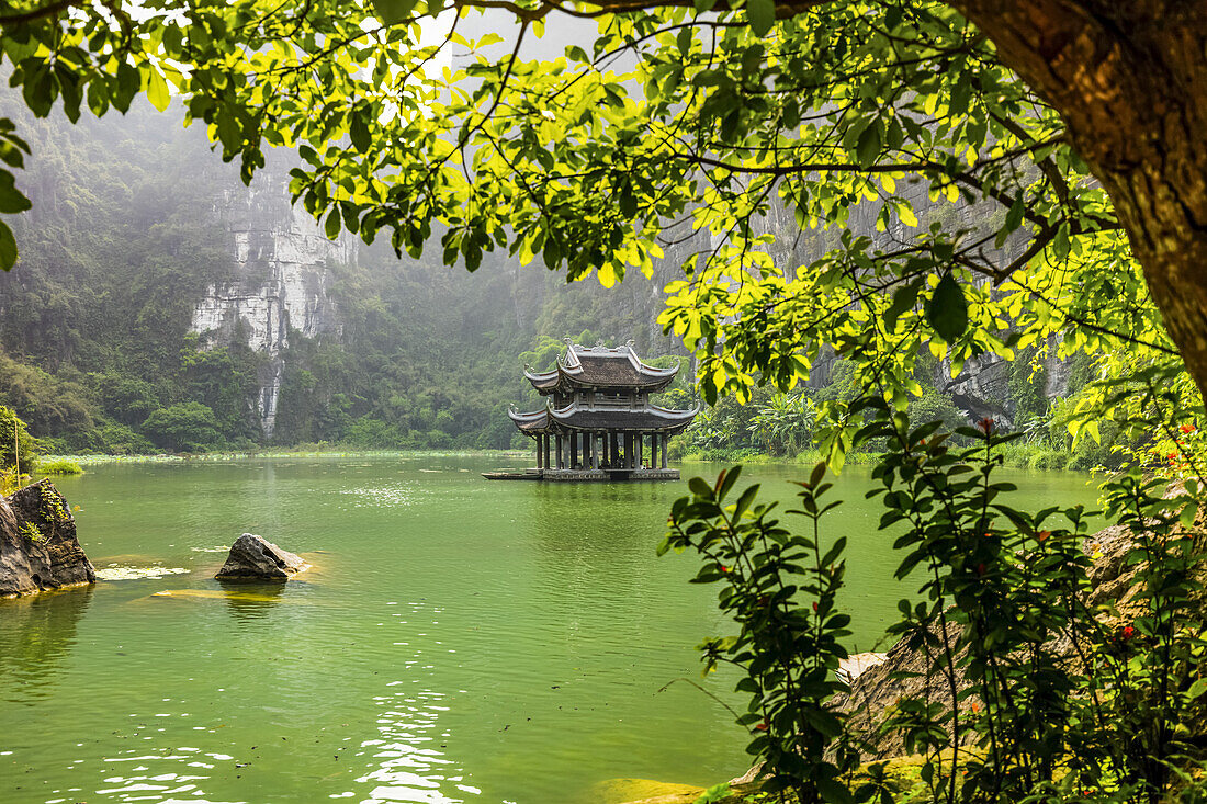 Üppige Landschaft und eine traditionelle asiatische Struktur inmitten eines grünen Sees; Ninh Binh Provinz, Vietnam.