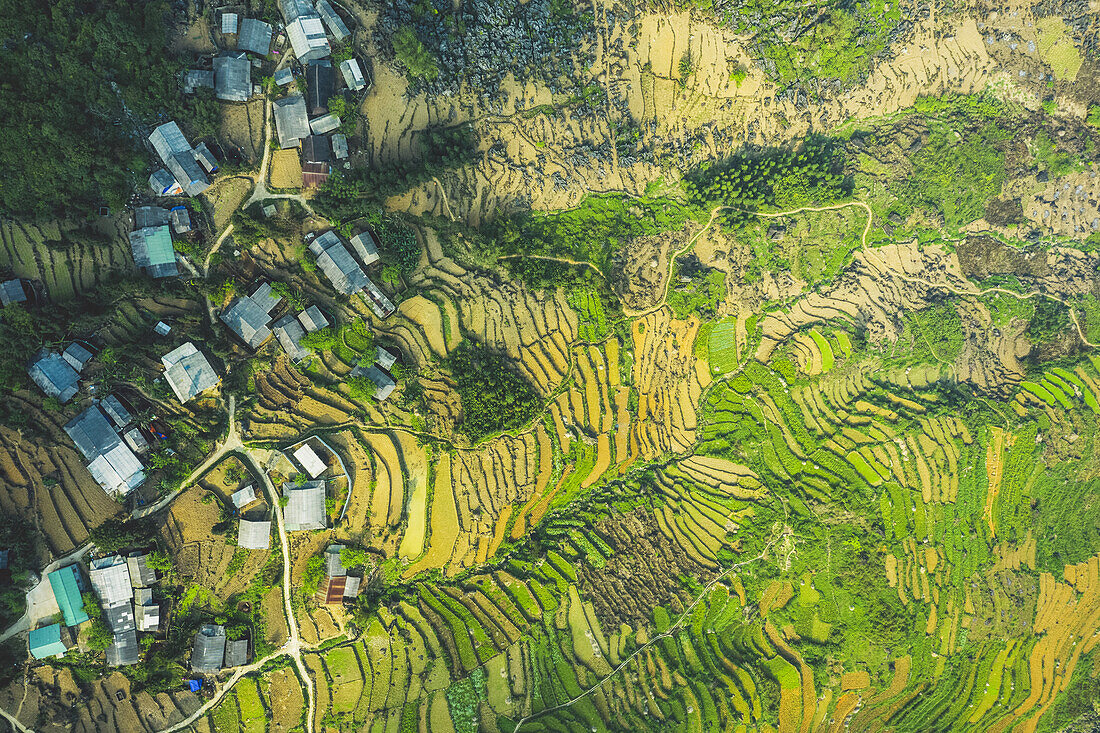 Drone view of rice terraces; Ha Giang Province, Vietnam