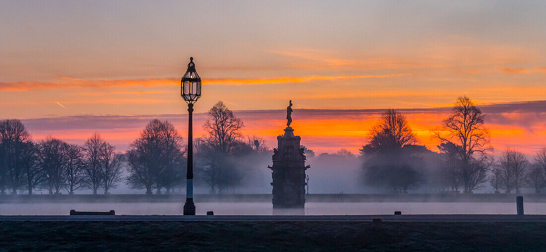 Bushey Park an einem nebligen Morgen während eines dramatischen Sonnenaufgangs; London, England.