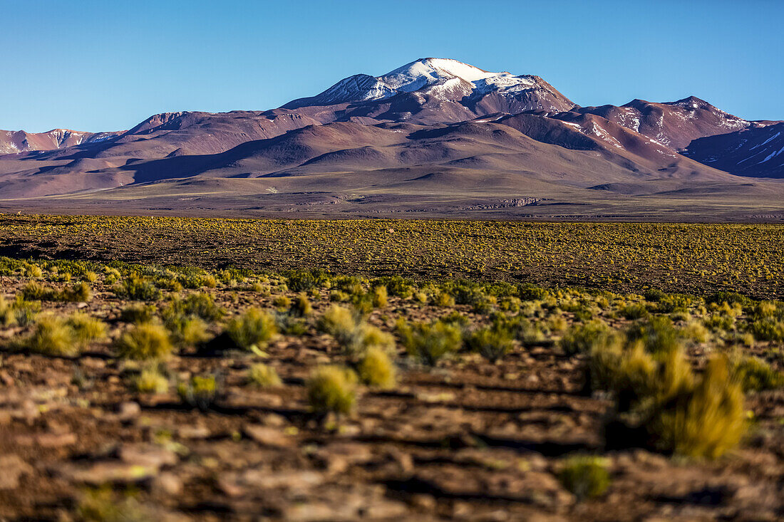 Altiplano-Landschaft; Potosi, Bolivien