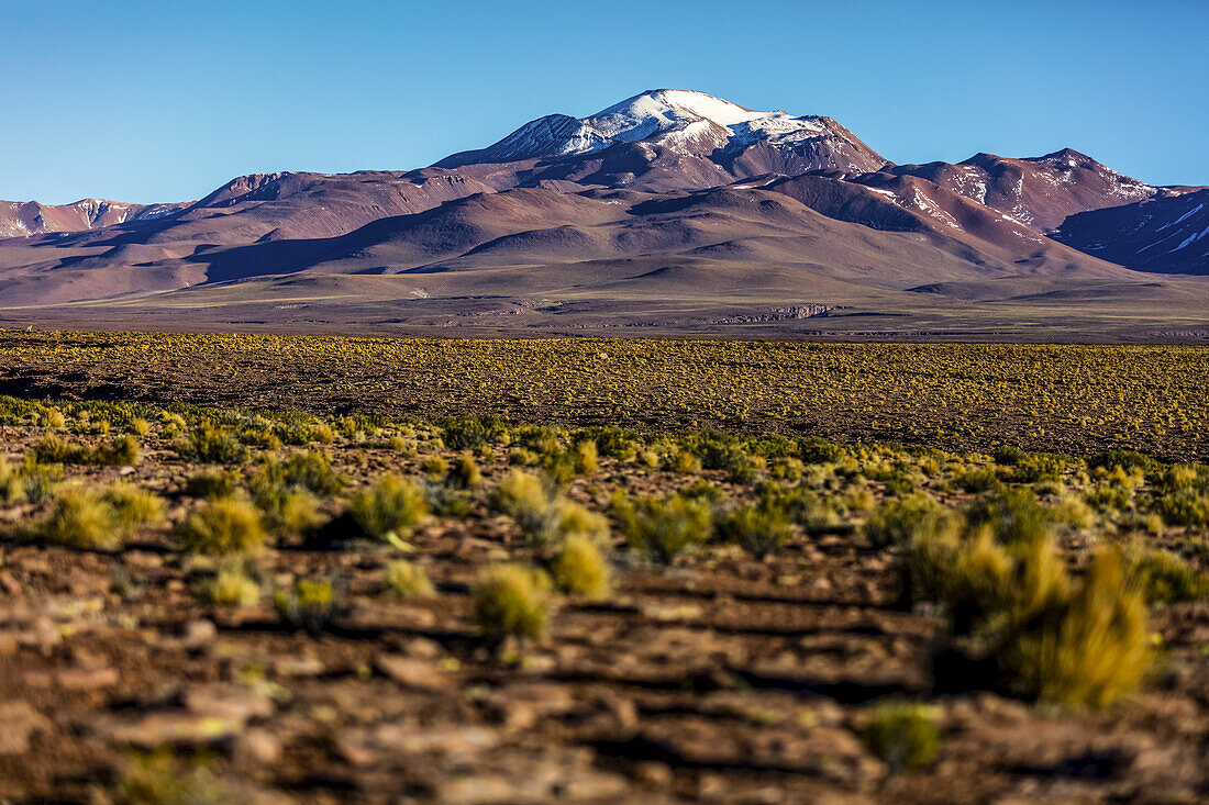 Altiplano landscape; Potosi, Bolivia