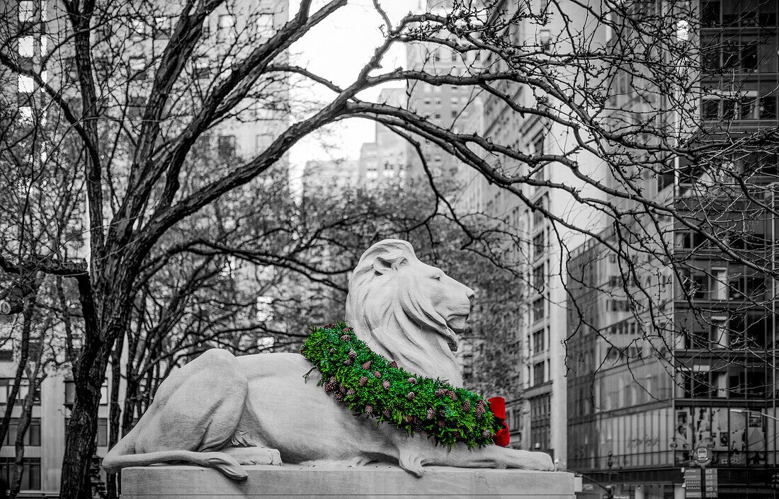 Kranz zum Veteranentag, drapiert auf dem Hals einer Löwenskulptur im November in Manhattan, Bild in Schwarz-Weiß mit Ausnahme des farbigen Kranzes; New York City, New York, Vereinigte Staaten von Amerika.