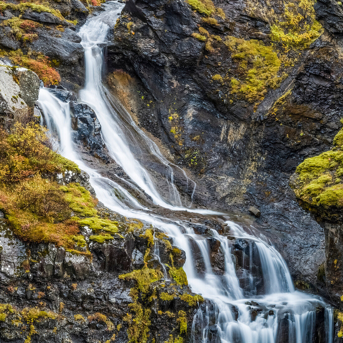 Glymur ist der zweithöchste Wasserfall in Island, mit einer Kaskade von 198 Metern; Hvalfjaroarsveit, Hauptstadtregion, Island