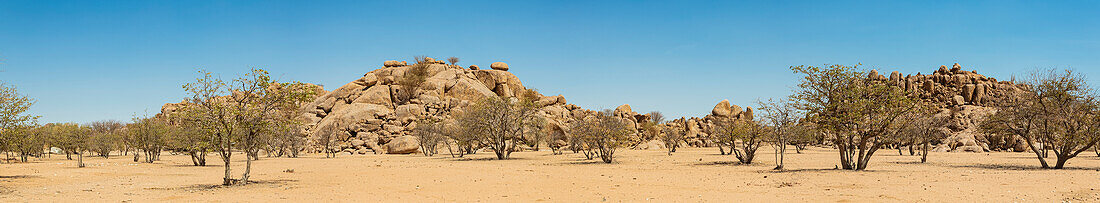 On the road to Brandberg Mountain, Damaraland; Kunene Region, Namibia