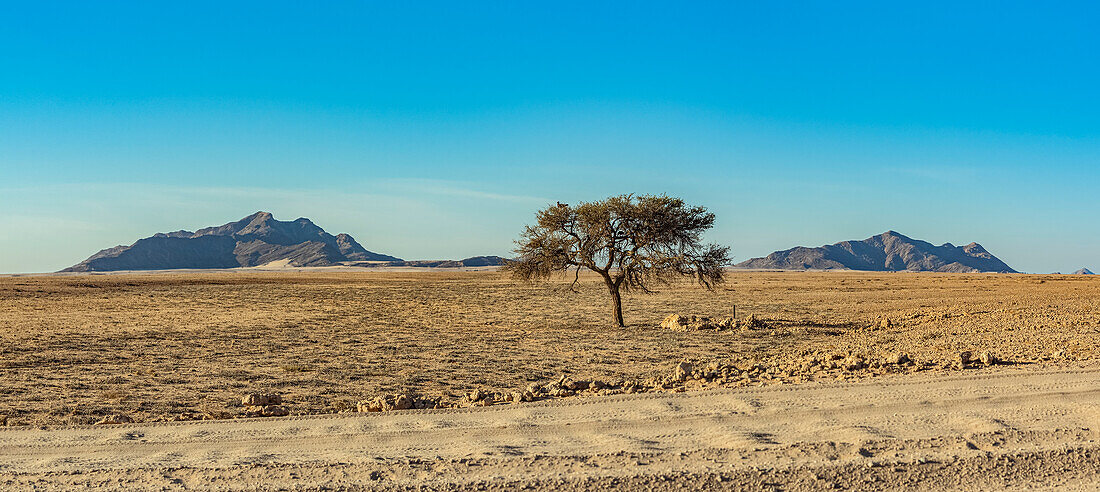 Namib-Naukluft-Nationalpark; Namibia