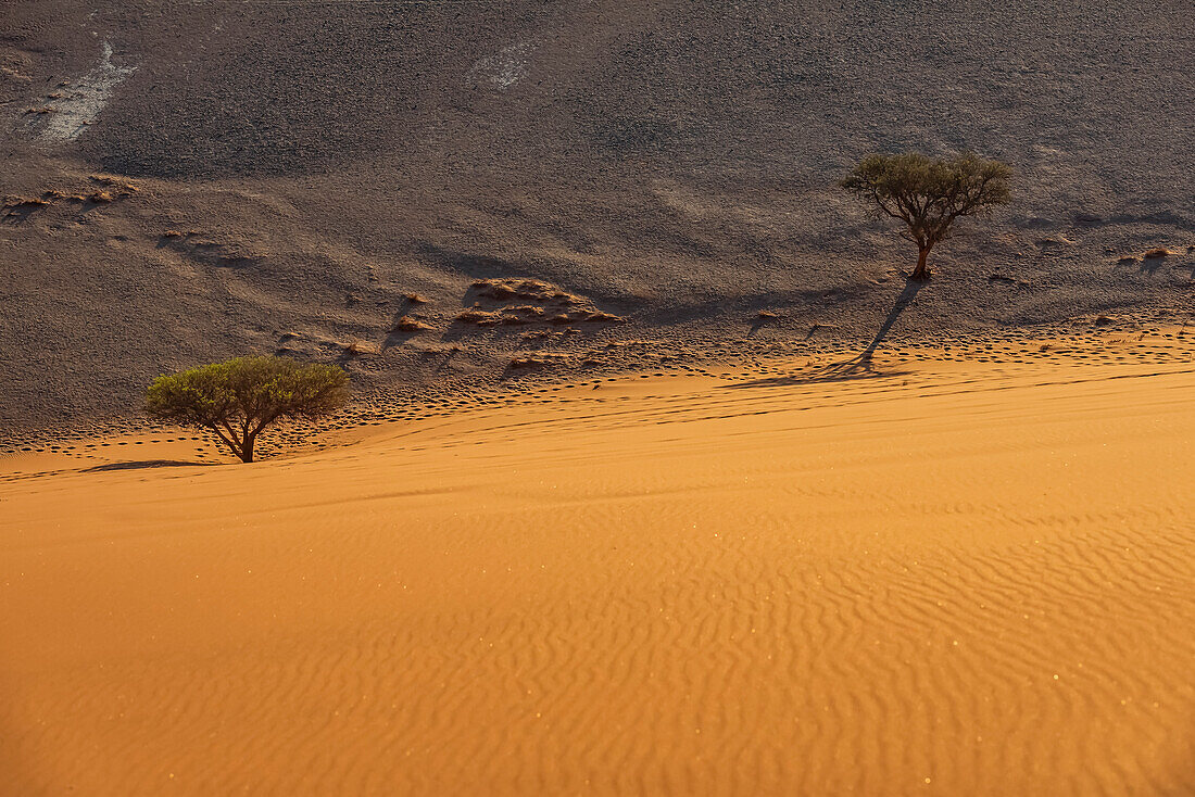 View from Dune 45, Sossusvlei, Namib Desert; Namibia